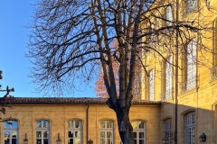 IMG_7884_DxO