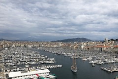 IMG_9501