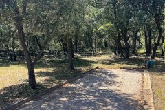 IMG_9470