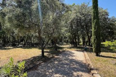IMG_9472