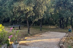 IMG_9890