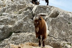 IMG_1857_DxO