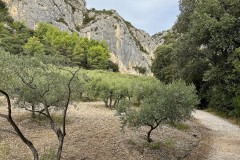 IMG_3875_DxO