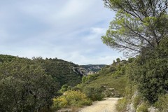 IMG_3930_DxO