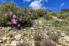 IMG_5143_DxO